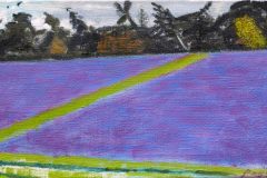 GR4-Rose-Rows-near-the-Violet-Plantation-30-x-55-copy-scaled