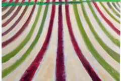 david-page-GR10-March-Rose-Rows-300-scaled