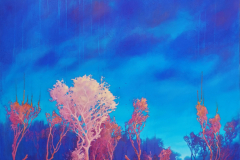 paul-zawadzki-expectation